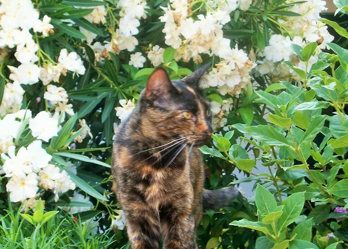 La Salina * Cannuzzo